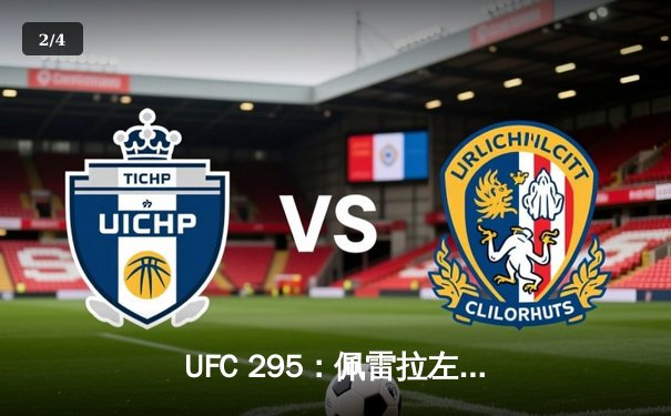 UFC 295：佩雷拉左勾拳撼动纽约 逆境中KO普罗哈兹卡加冕轻重量级新王 - 2