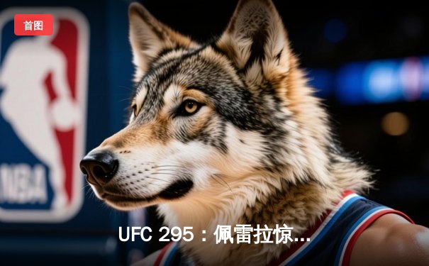 UFC 295：佩雷拉惊天左勾拳KO普罗哈兹卡，强势夺得轻重量级金腰带