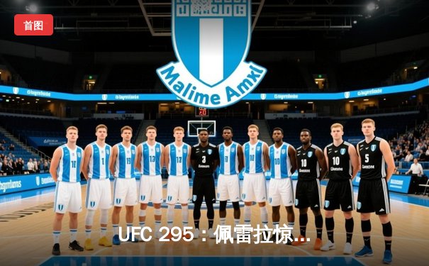 UFC 295：佩雷拉惊天KO卫冕成功，普罗哈兹卡轻重量级王座易主