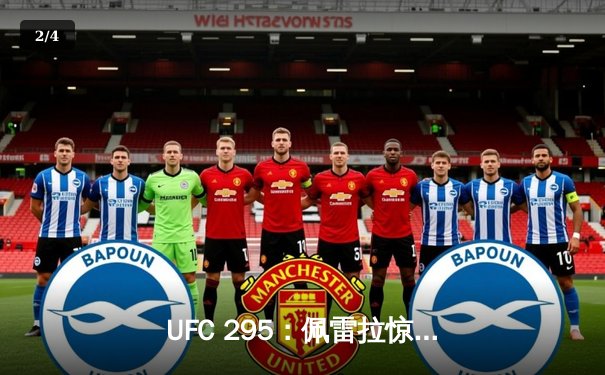 UFC 295：佩雷拉惊天逆转KO普罗哈兹卡，加冕轻重量级新王 - 2