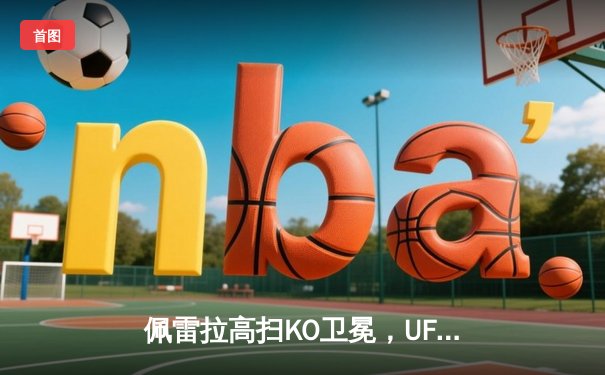 佩雷拉高扫KO卫冕，UFC303上演多场激战