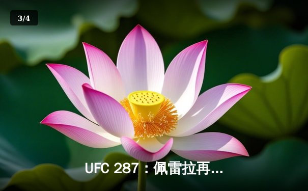 UFC 287：佩雷拉再遭逆转！阿迪萨亚左勾拳复仇成功重夺冠军腰带 - 3